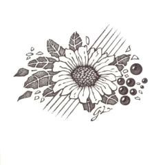 indian ink pattern of a sunflower