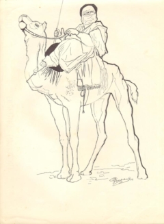 pen drawing of a Bedouin on dromedary