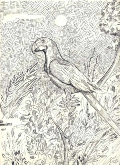 black and white drawing of a parrot