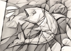 pencil drawing of a fish caught at the net