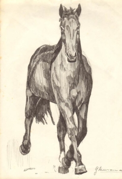 front design of a horse