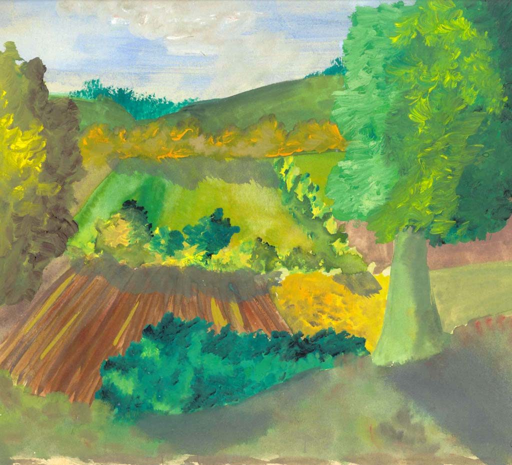 Rural landscape