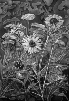 black and white design of sunflowers in a field