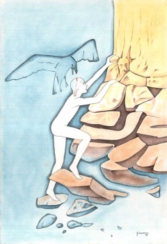 ragazzo mentre si arrampica viene ferito alla testa da un gabbiano