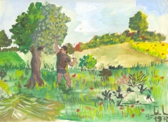 bambino raccoglie frutta da un albero