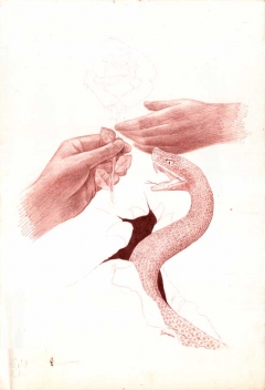 mani che si scambiano una rosa mentra comparare una vipera