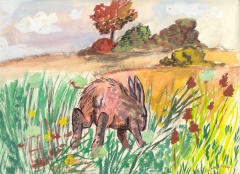 disegno di una lepre che corre in mezzo all'erba